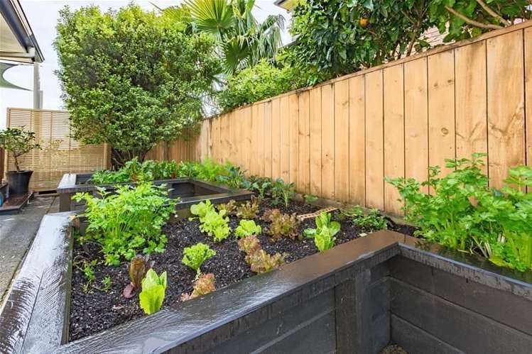 229c Metcalfe Road Ranui_18