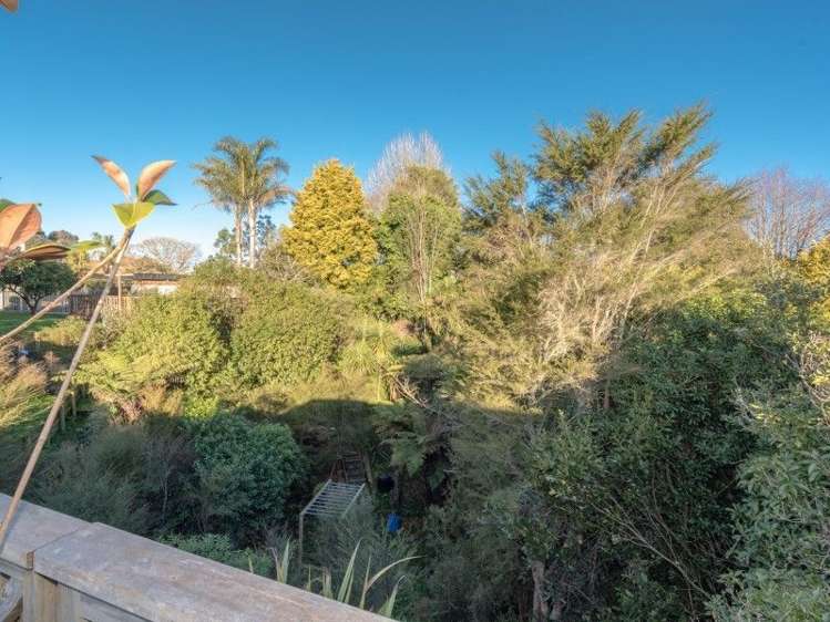 40a Donny Avenue Chartwell_7