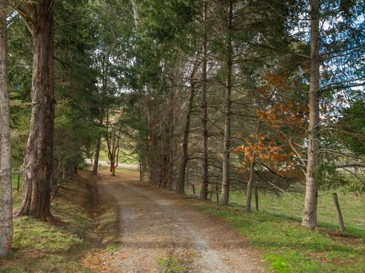 276 Northbank Road Kaituna_7