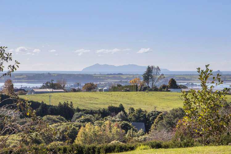 480C Youngson Road Whakamarama_12