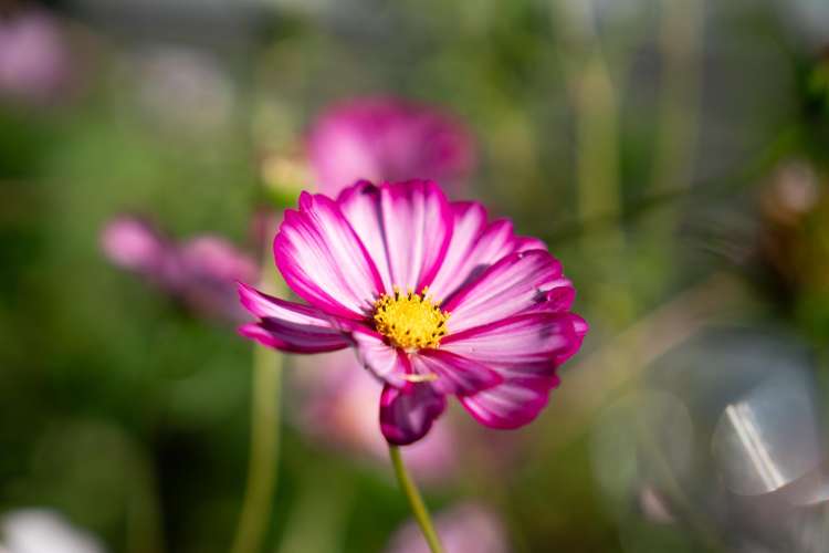 5-7 Kohekohe Road Waikanae_58