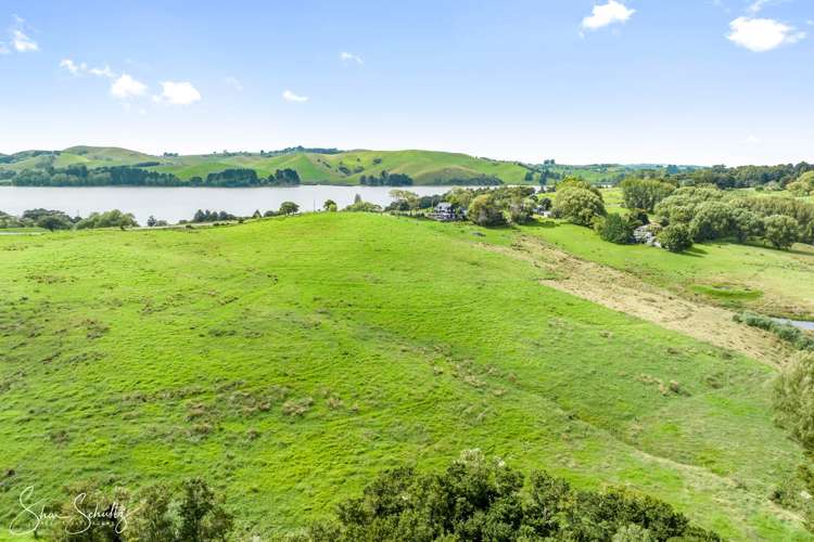 Pahi Road Paparoa_13