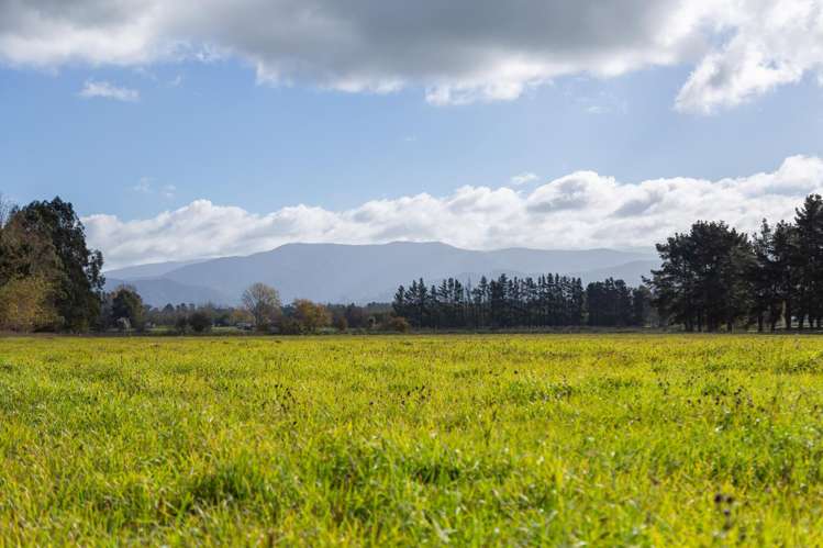 Lot 2, 122 Cross Line Greytown_9