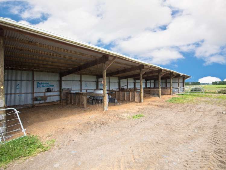 788 Tangimoana Road Ohakea_6