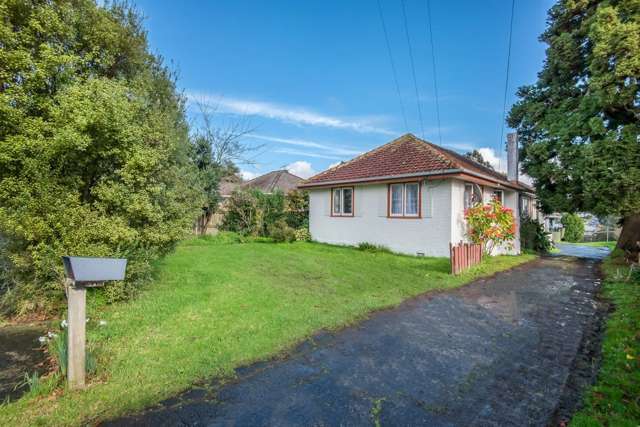 123 Astley Avenue New Lynn_1