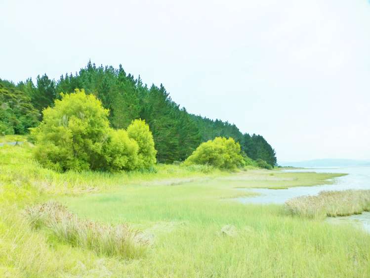 306 Morrison Road Kawhia_7