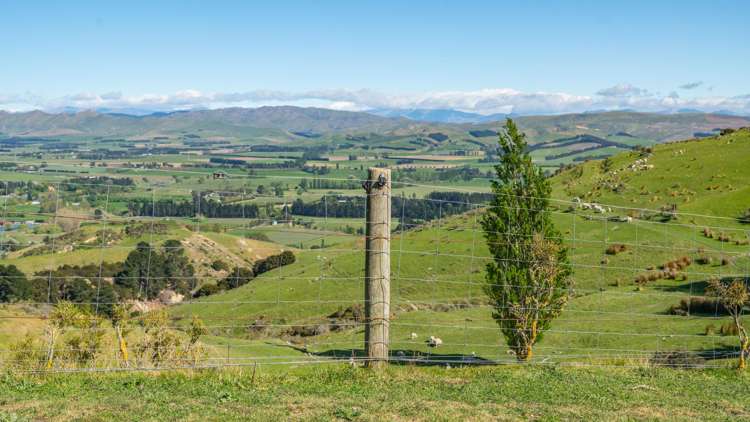 614 Omihi Road Omihi_22