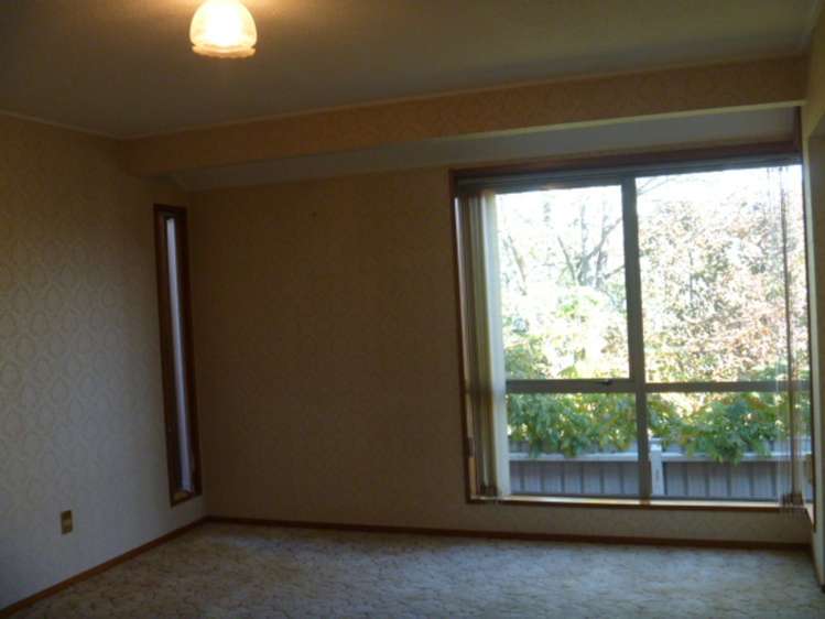 59 Brandon Street Alexandra_12