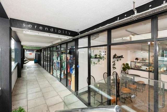 Lower Ground/529 Lake Road Takapuna_1