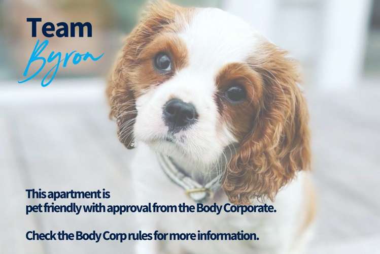 115/81 Mapou Road Hobsonville_25