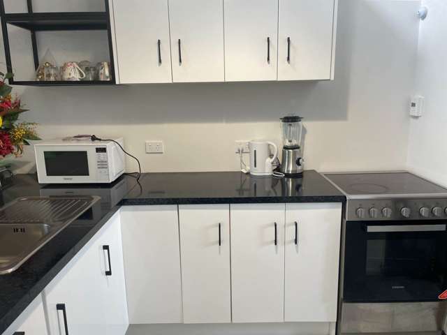 3/6 School Lane Regent_1