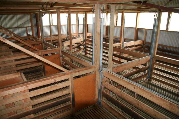 1756 Rawhitiroa Road Eltham_12