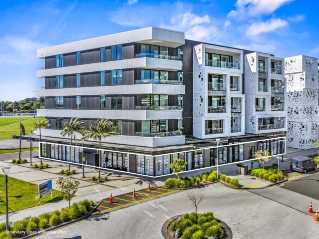 223 Greenlane West Epsom_1