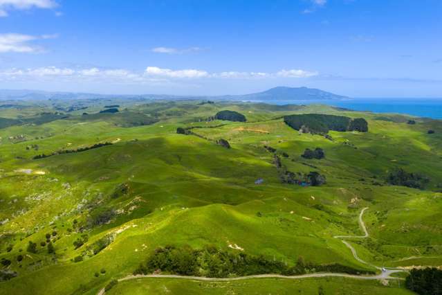 Te Akau Coast Road Te Akau_4