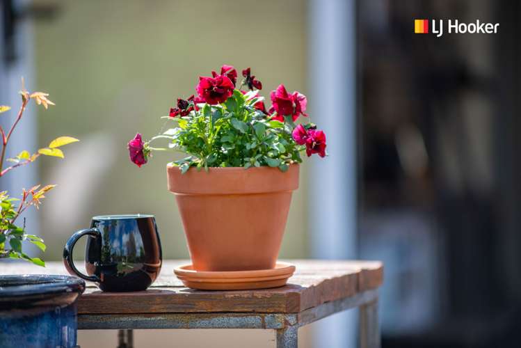 13 Nairn Street Mosgiel_18