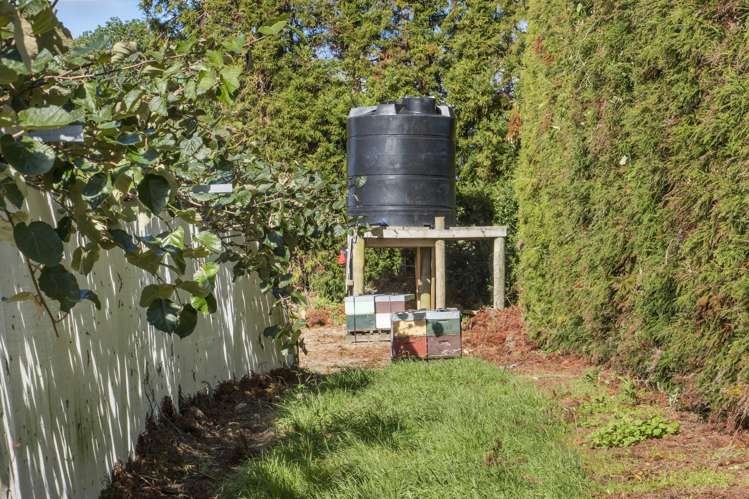168 Henry Road Katikati_5