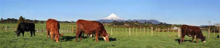 318c Manutahi Road Lepperton_10