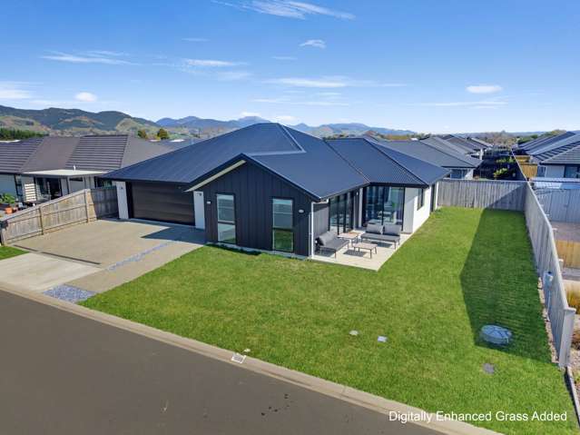 Contemporary Comfort in The Meadows!