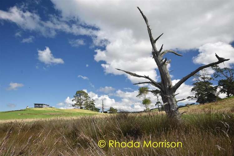 296 Metcalfe Road Matakohe_36