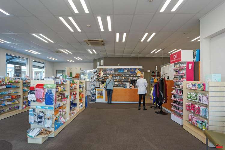 132 Collingwood Street Nelson_9