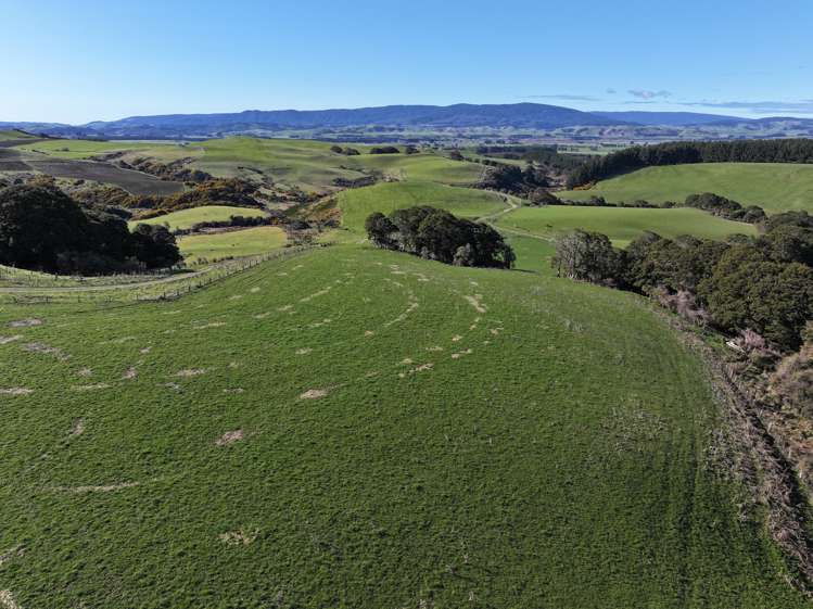 725 Grove Burn Road Tuatapere_8