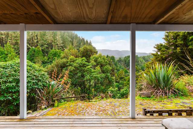 2005 Ongarue Stream Road Waimiha_3