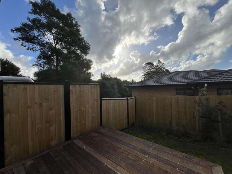 53 Raupeti Lane 11401_4