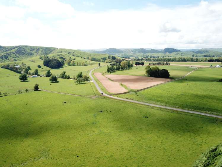 155 Bluff Road Pahiatua_20