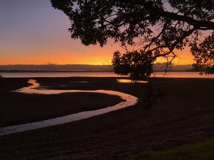 32 Attwood Street Tamaterau_10