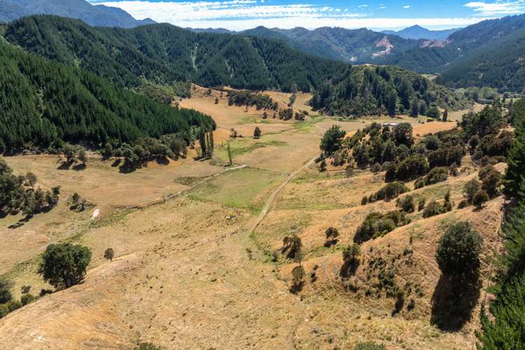 407 Onamalutu Road Wairau Valley_37