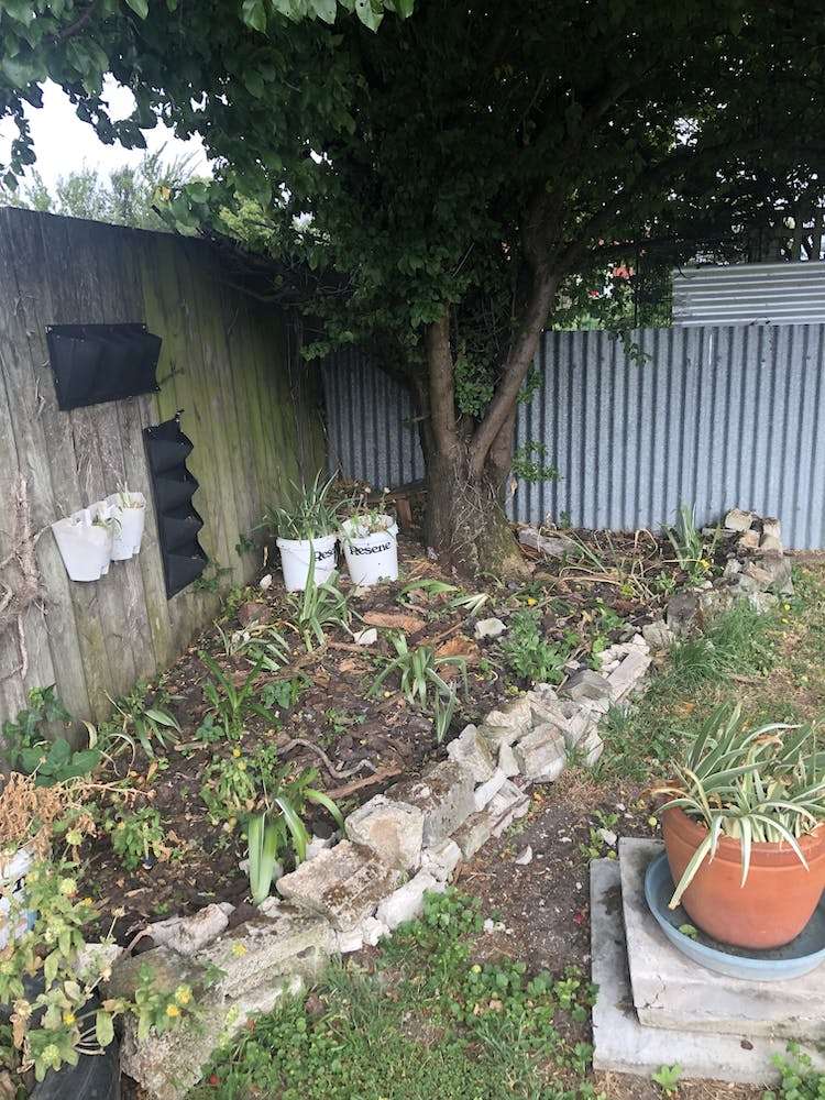 75 Bannister Street Masterton_22