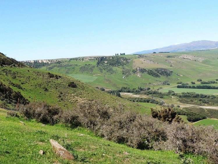 126 Mcphersons Road Taiko_33