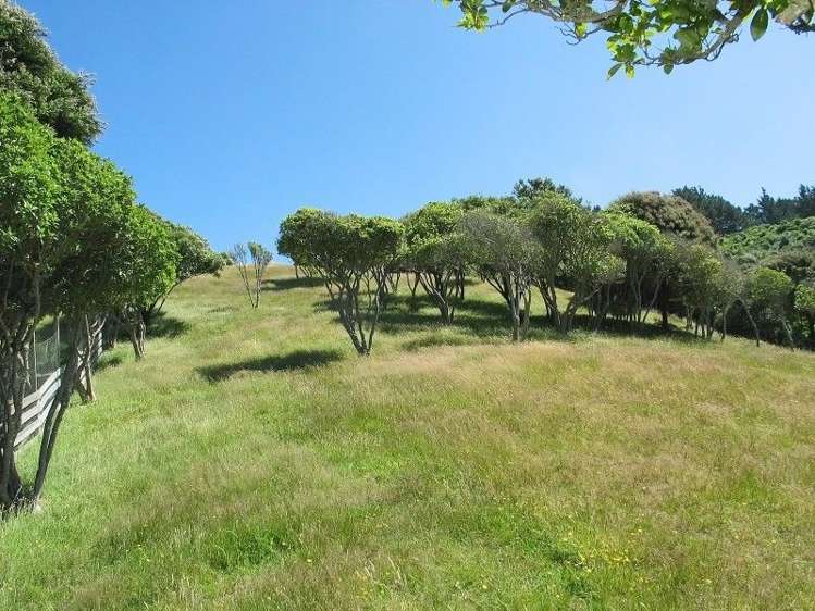 69 Exploration Way Whitby_6