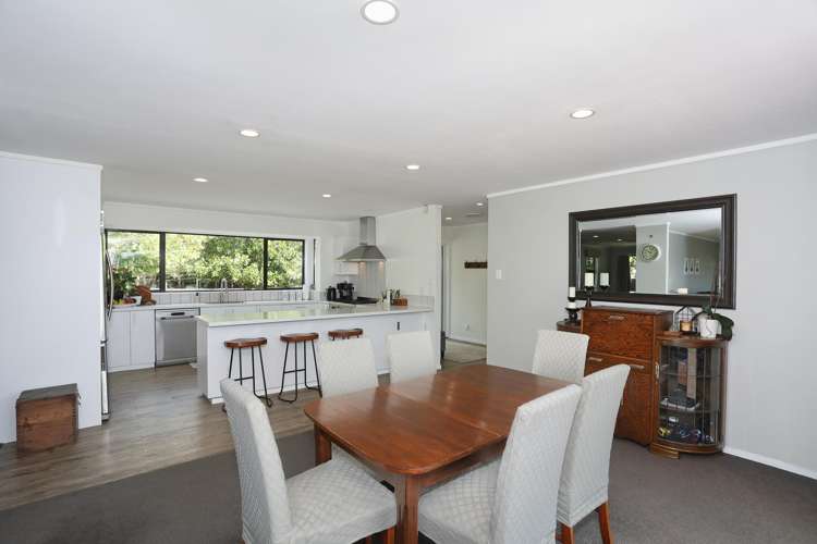 455b State Highway 1 Bulls_10