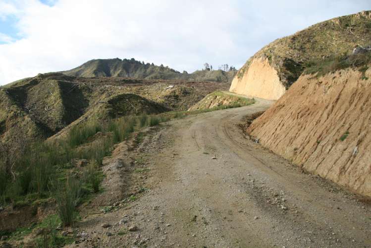 0n Makakaho Road Ngamatapouri_11