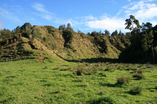 268 Piko Road Okoki_1