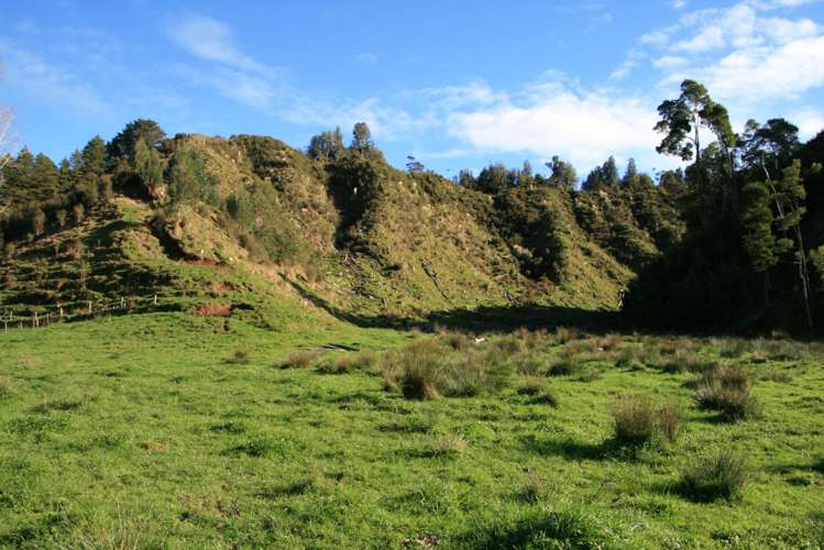 268 Piko Road Okoki_1