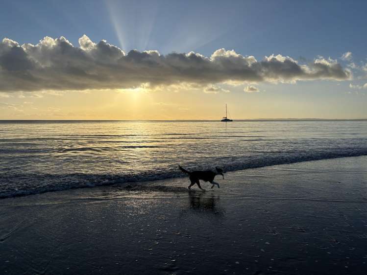 155 Glenvar Road Long Bay_12