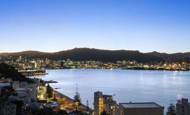 2a/22 Telford Terrace Oriental Bay_1