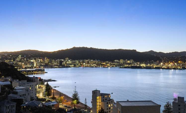2a/22 Telford Terrace Oriental Bay_1