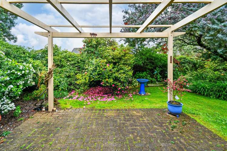 46 Blackwood Drive Wattle Downs_12