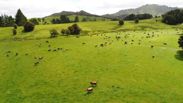 101 Pullin Road Ruatangata_4