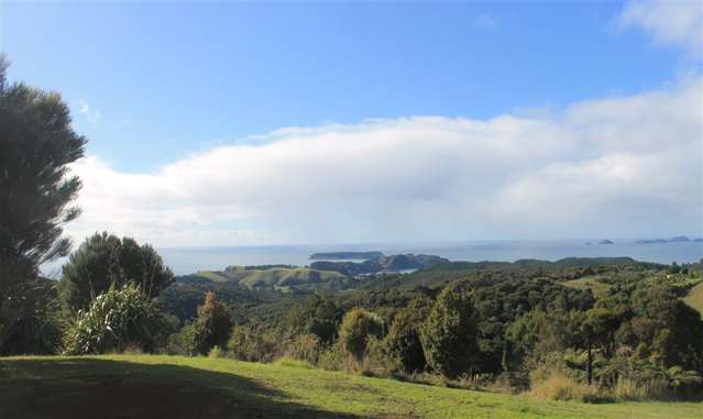 Wainui Road Whangaroa_1