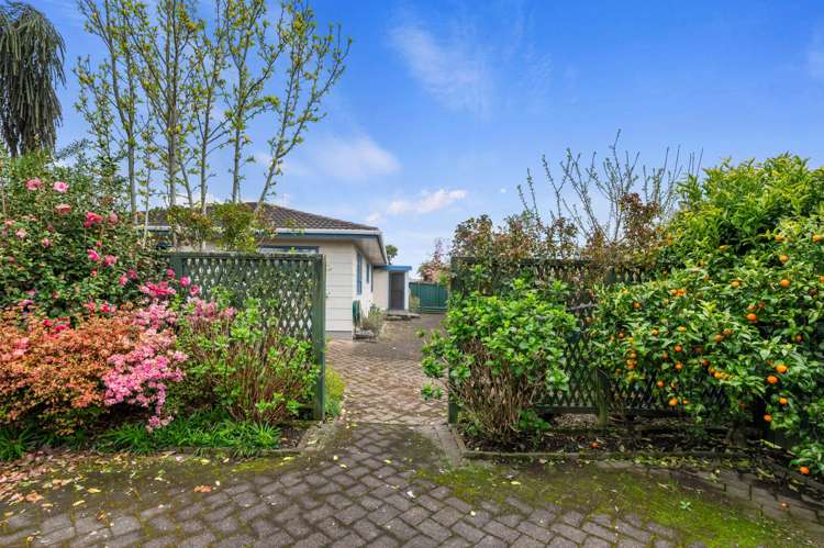 23B Larch Street Victoria_13