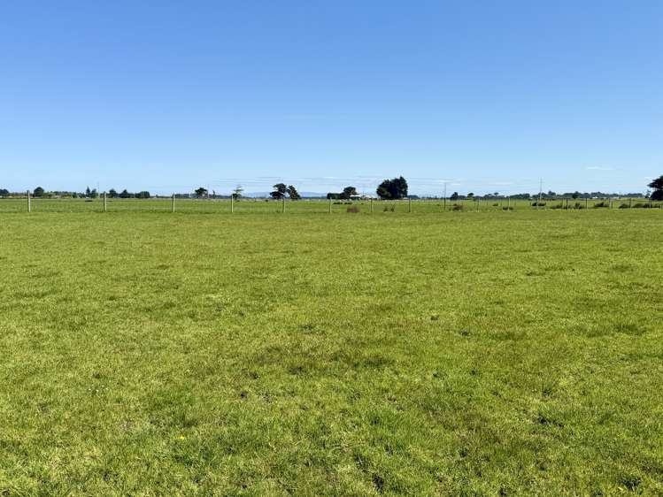 1169 Motu Rimu Road_0