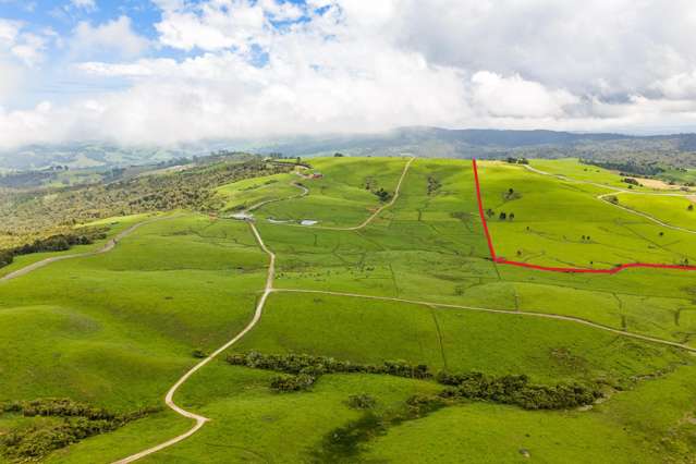 89 Jones Road Dargaville Surrounds_1