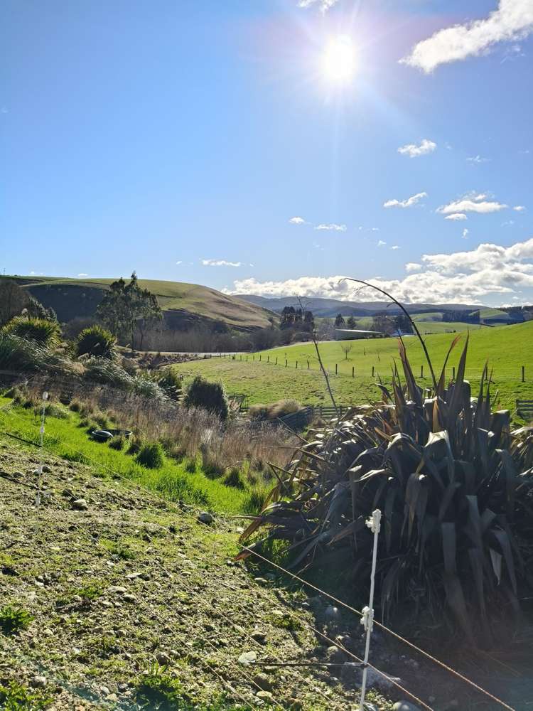 24c Thurso Street Lawrence_11