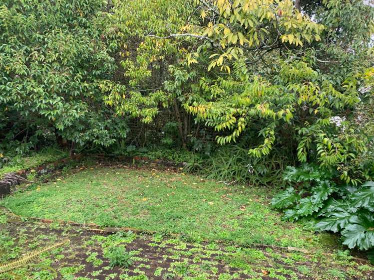 12 Stratford Street Parnell_6