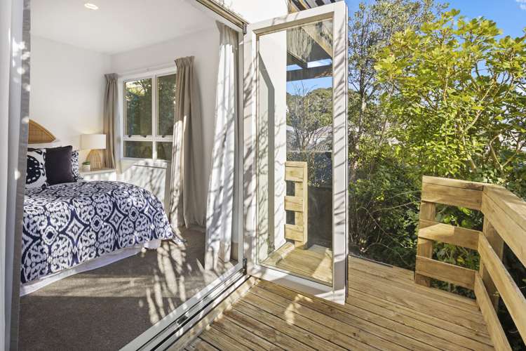 16a Stafford Street Mount Victoria_6