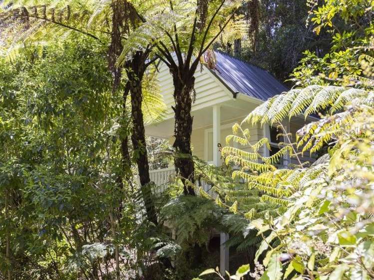 49 Blue Mountains Road Pinehaven_19